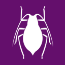 Bug report TweeGo