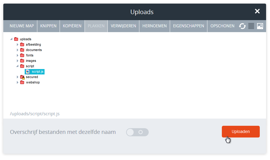 Extern javascript bestand uploaden.