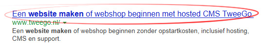 Pagina titel in zoekresultaten.