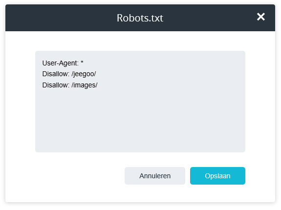Robots.txt instellen