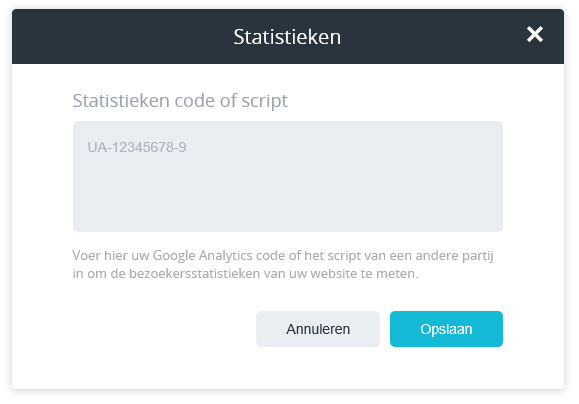 Google Analytics code instellen.