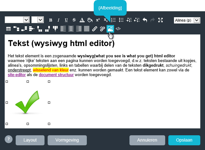 Afbeelding in wysiwyg html editor plaatsen.