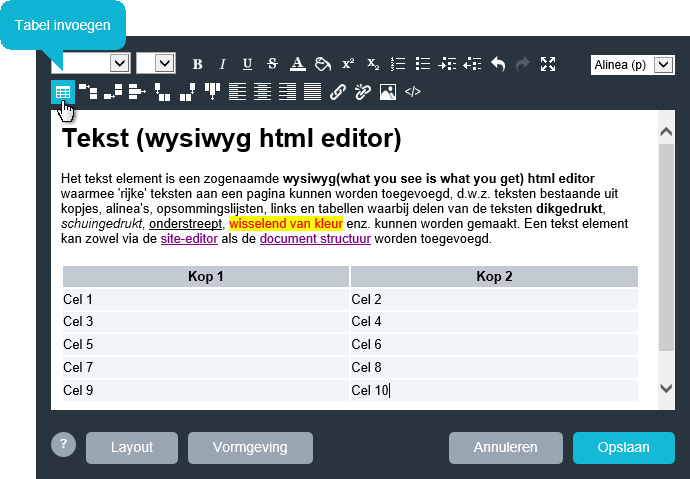 Tabel invoegen in editor.