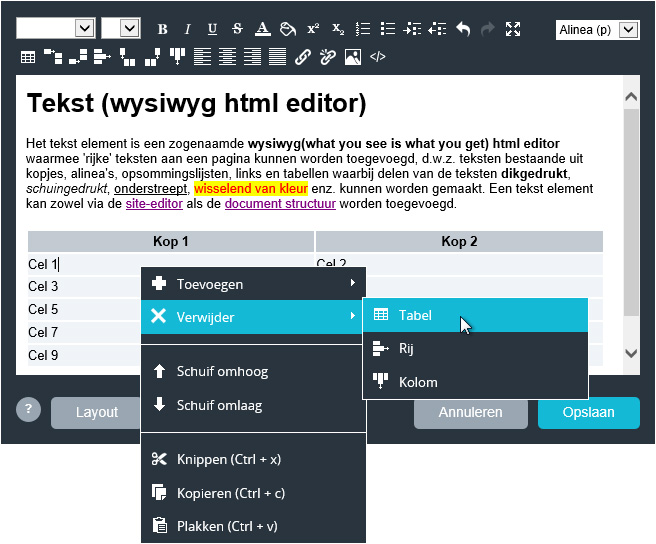 Tabel verwijderen uit wysiwyg editor.