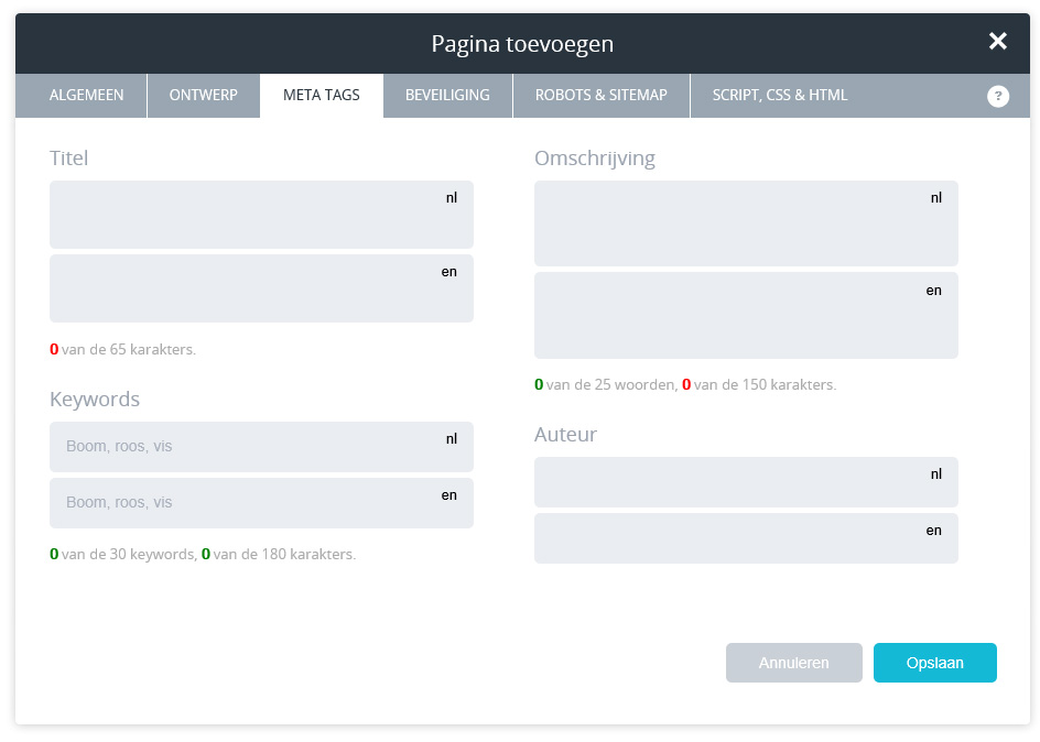 Pagina titel, auteur, keywords en omschrijving instellen.